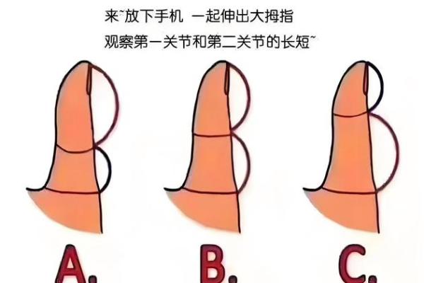 小指算命，小指的长度看你的性格和命运