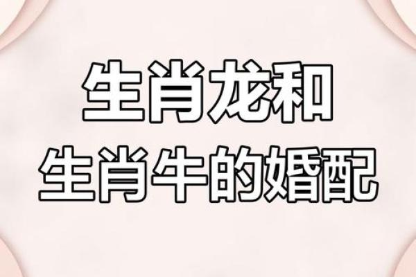 属牛人婚姻配对