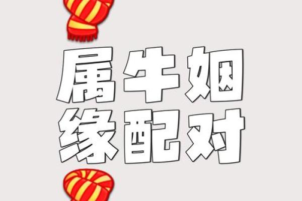 属牛和属牛的适合做夫妻吗 属牛夫妻配对可行吗
