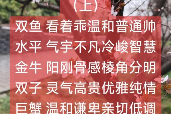 十二星座颜值排名谁最帅