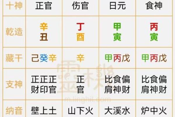 八字从格是什么意思 八字从格含义
