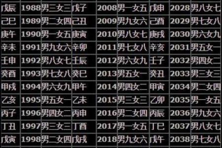 八字合婚5合什么意思呀