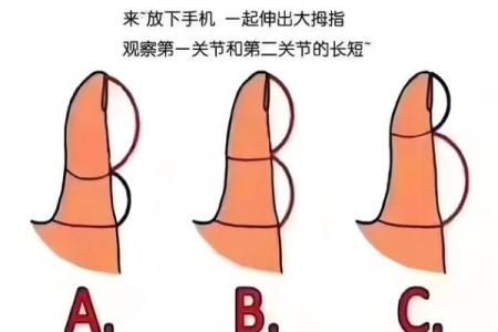 小指算命，小指的长度看你的性格和命运