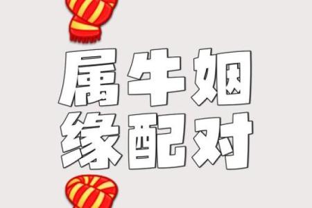 属牛和属牛的适合做夫妻吗 属牛夫妻配对可行吗