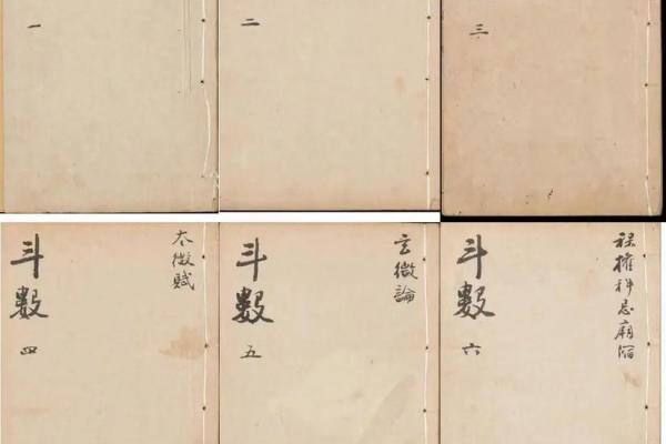 紫薇斗数进阶书