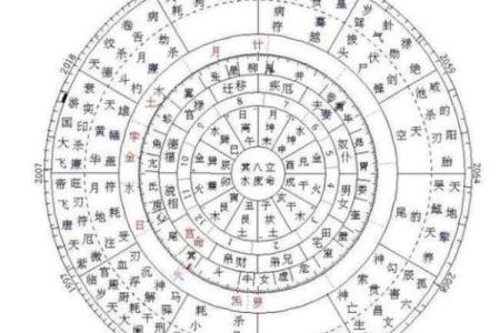 紫薇斗数贵子