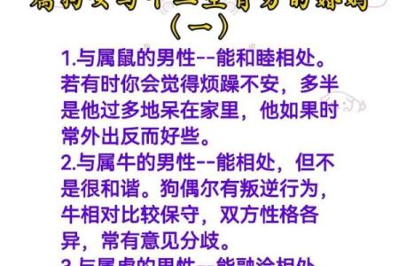 属马女性配对大揭秘：羊男VS狗男，成功婚姻密码在哪？