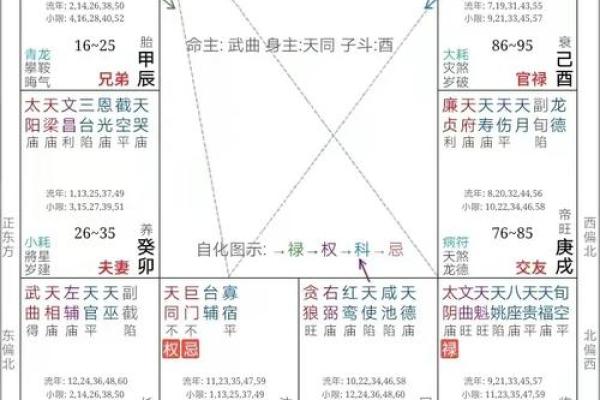 紫云紫薇斗数视频