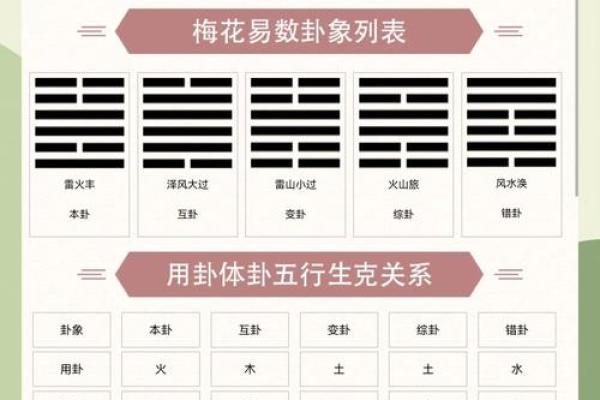 飞星紫微斗数用太岁入卦 紫微斗数太岁指什么？