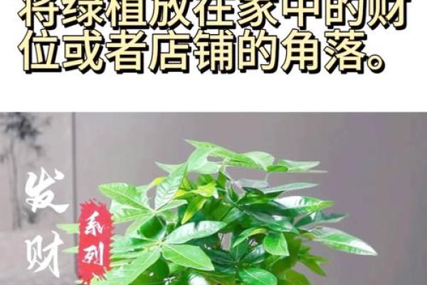助运，家居风水如何摆放旺事业