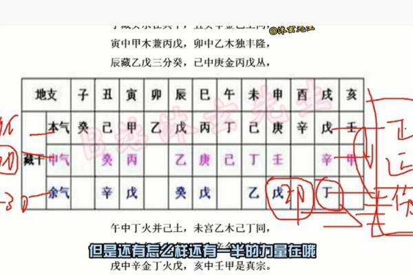 八字怎么看官星,八字中的藏干官星算不算