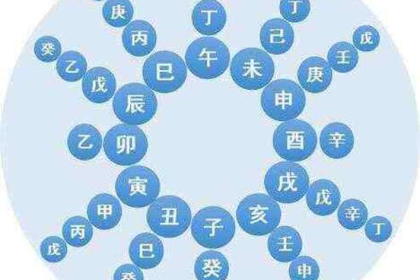 八字地支有寅辰,八字辰与寅的关系
