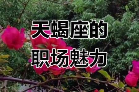最佳合伙人的天蝎座配对