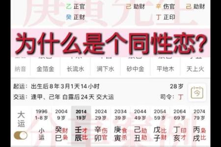 周易和算命、八字是不是一回事呢？到底哪个更准？