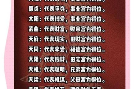 紫微斗数诸星落诸宫之：贪狼星官禄宫详解