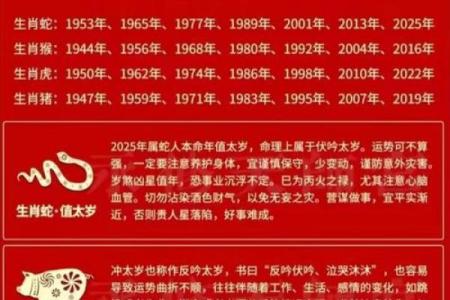飞星紫微斗数用太岁入卦 紫微斗数太岁指什么？