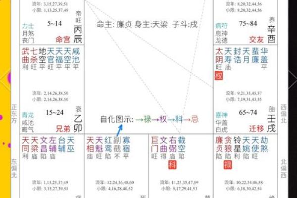 紫薇斗数全书是哪个派别
