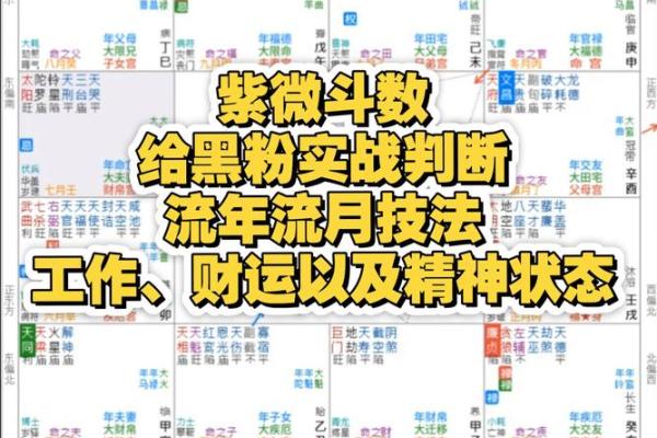 紫薇斗数入门到精通
