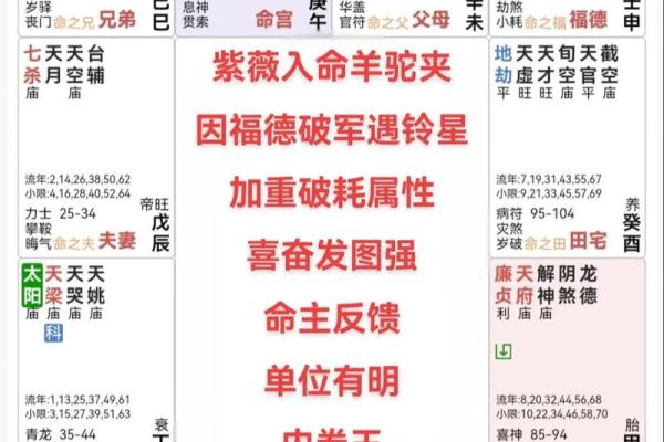 紫薇斗数交友铃星