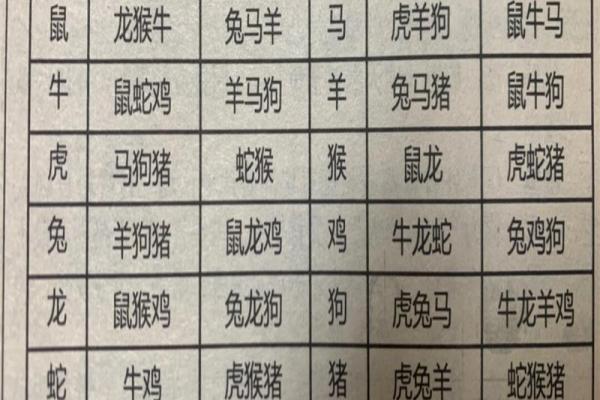 12生肖佳姻缘配对