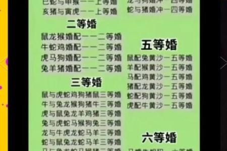 属龙的跟属龙的结婚属上等婚吗 配对要注意什么