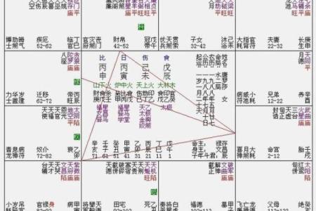 紫微斗数诸星落诸宫之：父母宫