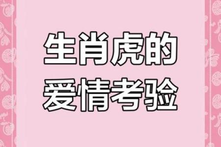 生肖虎配对
