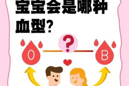 血型b+和b-是什么意思