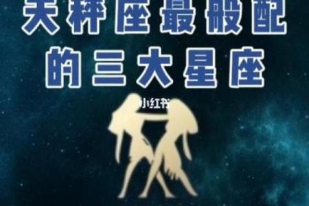 天平座跟什么星座适合做朋友