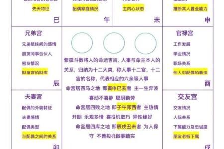 紫薇斗数入门到精通
