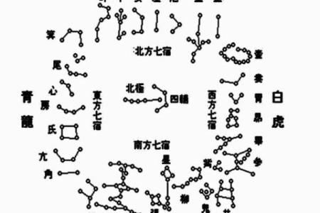 紫薇斗数基本