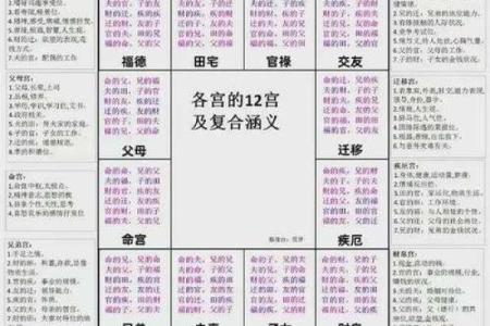 紫薇斗数速成