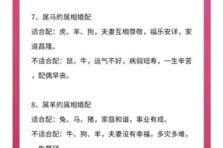 12生肖佳姻缘配对