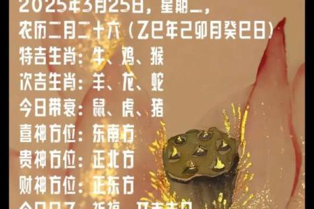 今日生肖运势查询黄历
