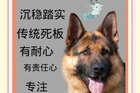 12星座应该养哪种狗狗