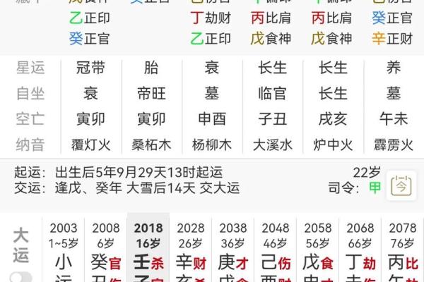 命主八字喜用神