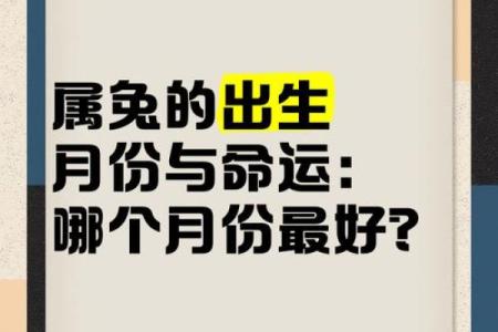属兔的富豪出生在几月 属兔大富大贵的吉日出生
