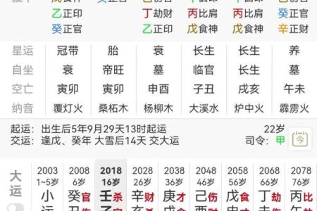 命主八字喜用神
