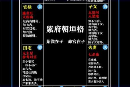 紫微命格查询表 紫微斗数之144种命格