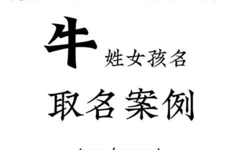 怎么样给下午5点出生的属牛男孩取名字好姓名