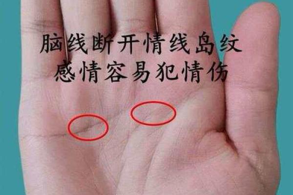 十指指纹算命看你命运吉凶，最全最具体最准
