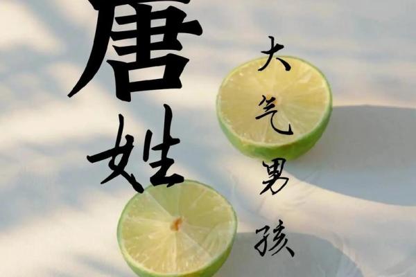 唐姓名配对搞笑名字 姓唐的谐音网名？