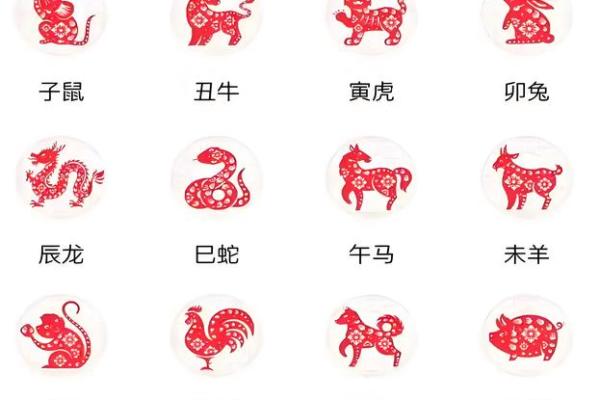 猪的生肖配对