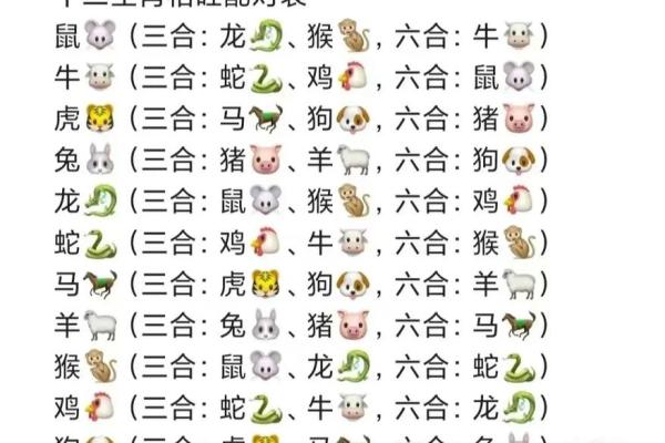 猪的生肖配对