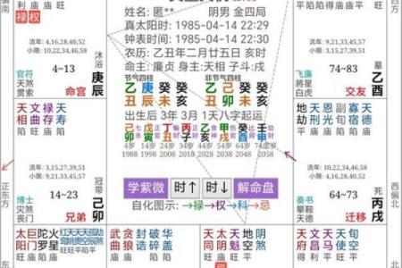 “八字金庫，解读你的人生财富”