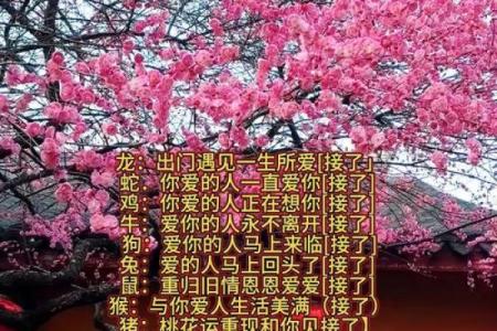 友谊缘分测试 友情缘分测试？