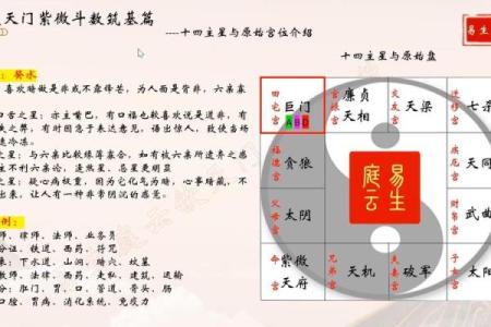 紫微斗数诸星落诸宫之：巨门星兄弟宫详解
