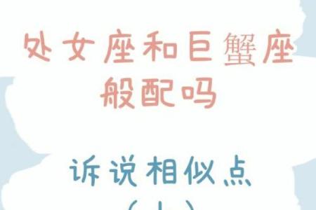 处女座男和什么座最配对,处女座男和什么座最配
