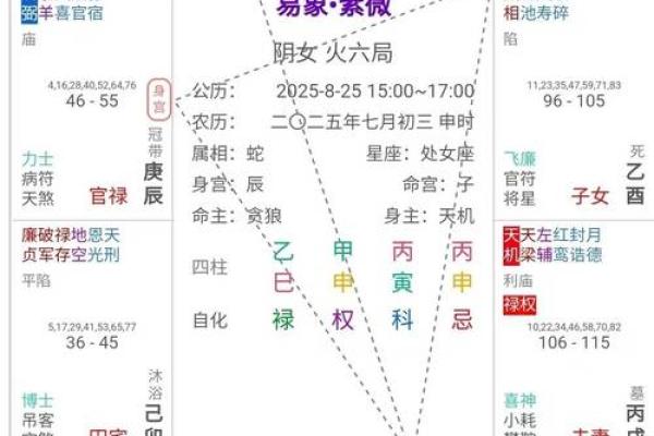紫微斗数之田宅宫与诸星，紫微星在田宅宫是什么意思？