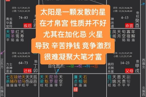 紫薇斗数太阴星